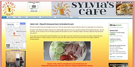 Website Hosting & Domain Name Registration Services for Small Business websites, Professionals, Craftsmen, Artists