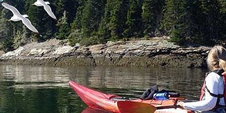 Web Design Bar Harbor, website designer